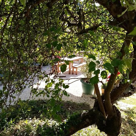 Gite Les 27 Roses Et Plus Châtel-Censoir Exterior foto